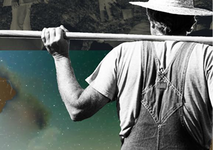 Земля без права на врожай: війна і криза дрібного фермерства в Україні